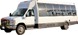 Moonstruck Party Bus 20 Passenger